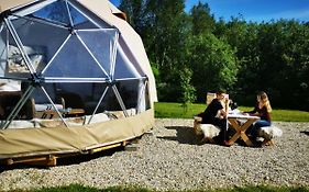 Wild Caribou Dome